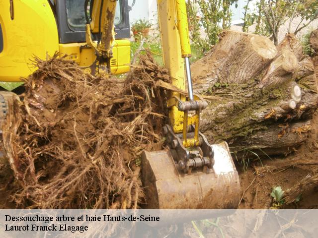 Dessouchage arbre et haie 92 Hauts-de-Seine  Laurot Franck Elagage