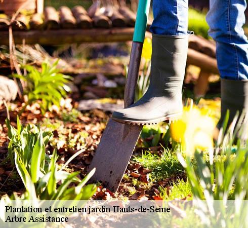 Plantation et entretien jardin 92 Hauts-de-Seine  Arbre Assistance