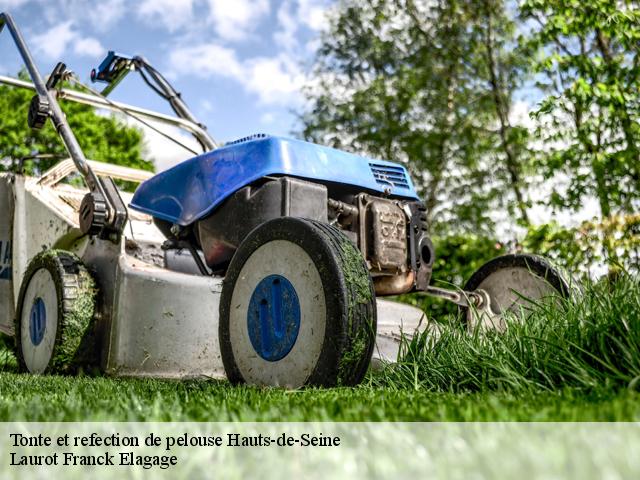 Tonte et refection de pelouse 92 Hauts-de-Seine  Laurot Franck Elagage