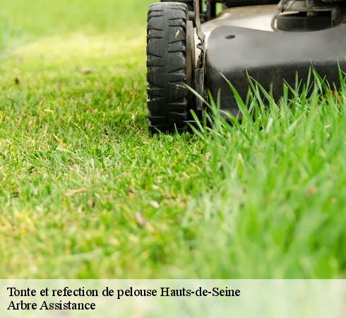 Tonte et refection de pelouse 92 Hauts-de-Seine  Arbre Assistance