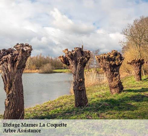 Etetage  marnes-la-coquette-92430 Arbre Assistance