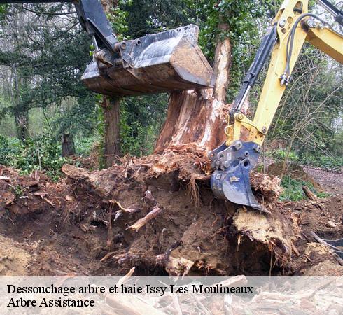 Dessouchage arbre et haie  issy-les-moulineaux-92130 Arbre Assistance