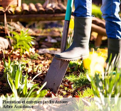 Plantation et entretien jardin  antony-92160 Arbre Assistance