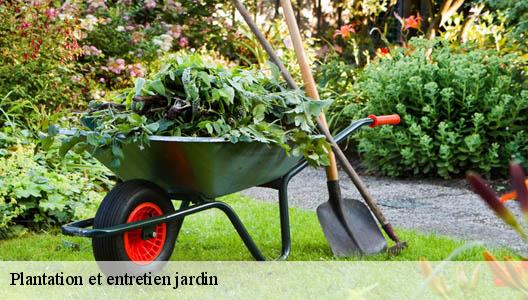 Plantation et entretien jardin