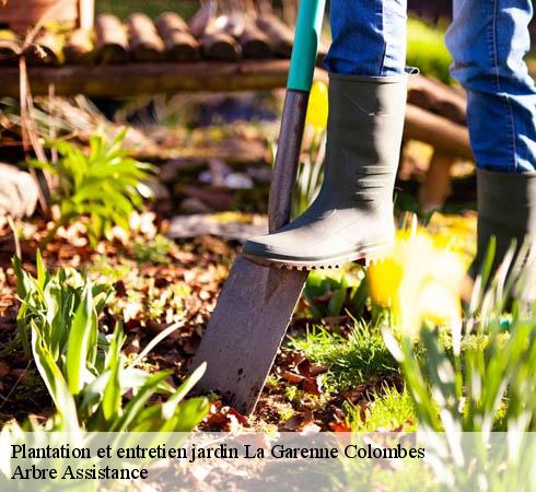 Plantation et entretien jardin  la-garenne-colombes-92250 Arbre Assistance