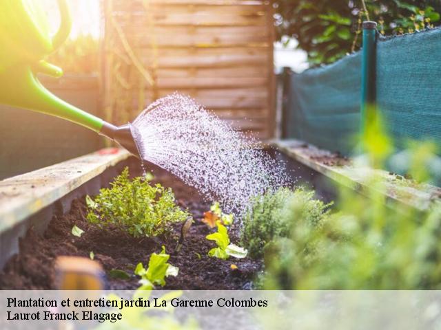 Plantation et entretien jardin  la-garenne-colombes-92250 Laurot Franck Elagage