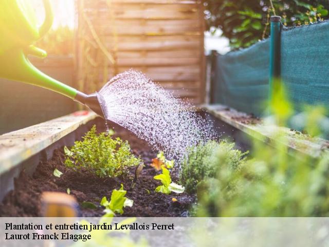 Plantation et entretien jardin  levallois-perret-92300 Laurot Franck Elagage