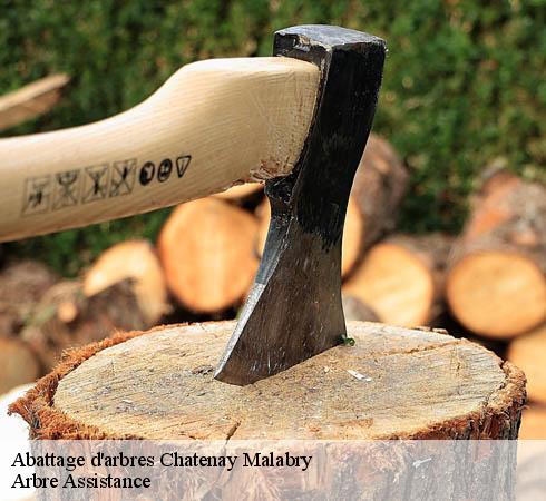 Abattage d'arbres  chatenay-malabry-92290 Arbre Assistance