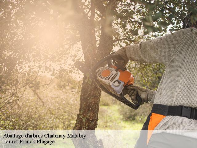 Abattage d'arbres  chatenay-malabry-92290 Laurot Franck Elagage