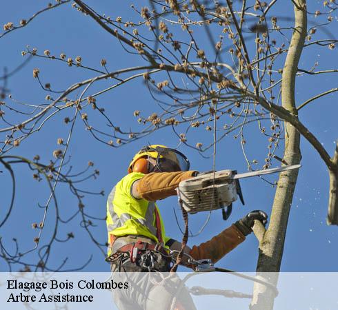 Elagage  bois-colombes-92270 Arbre Assistance