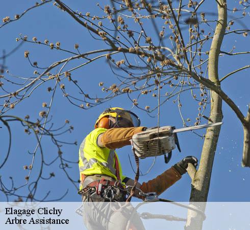 Elagage  clichy-92110 Arbre Assistance