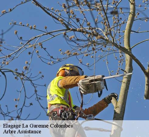 Elagage  la-garenne-colombes-92250 Arbre Assistance