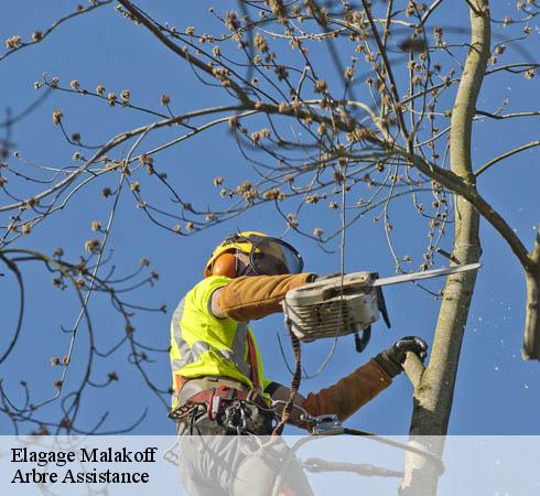 Elagage  malakoff-92240 Arbre Assistance