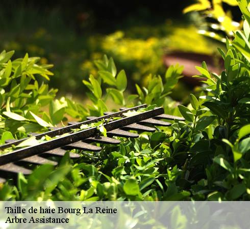 Taille de haie  bourg-la-reine-92340 Arbre Assistance