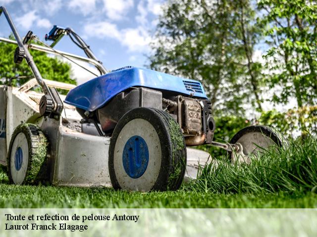 Tonte et refection de pelouse  antony-92160 Laurot Franck Elagage