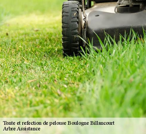 Tonte et refection de pelouse  boulogne-billancourt-92100 Arbre Assistance