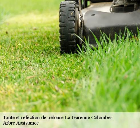 Tonte et refection de pelouse  la-garenne-colombes-92250 Arbre Assistance