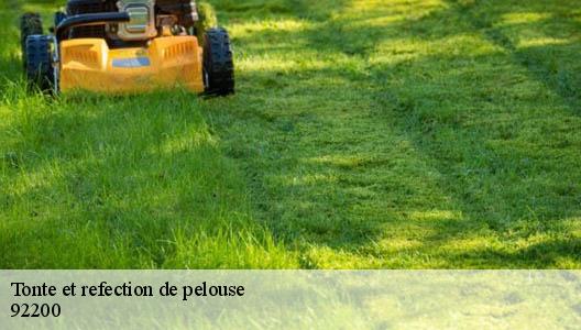 Tonte et refection de pelouse  92200