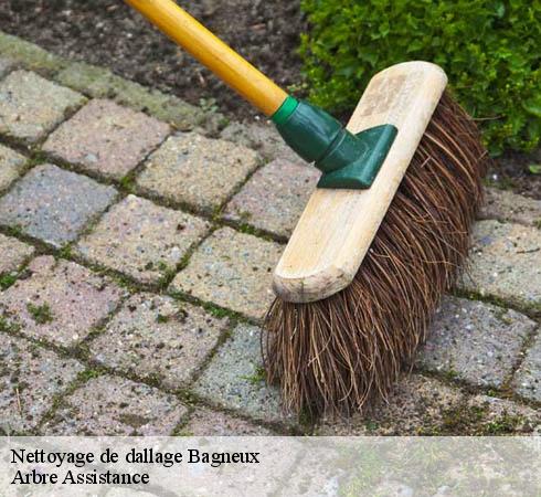 Nettoyage de dallage  bagneux-92220 Arbre Assistance