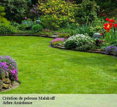 Création de pelouse  malakoff-92240 Arbre Assistance