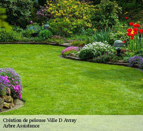 Création de pelouse  ville-d-avray-92410 Arbre Assistance